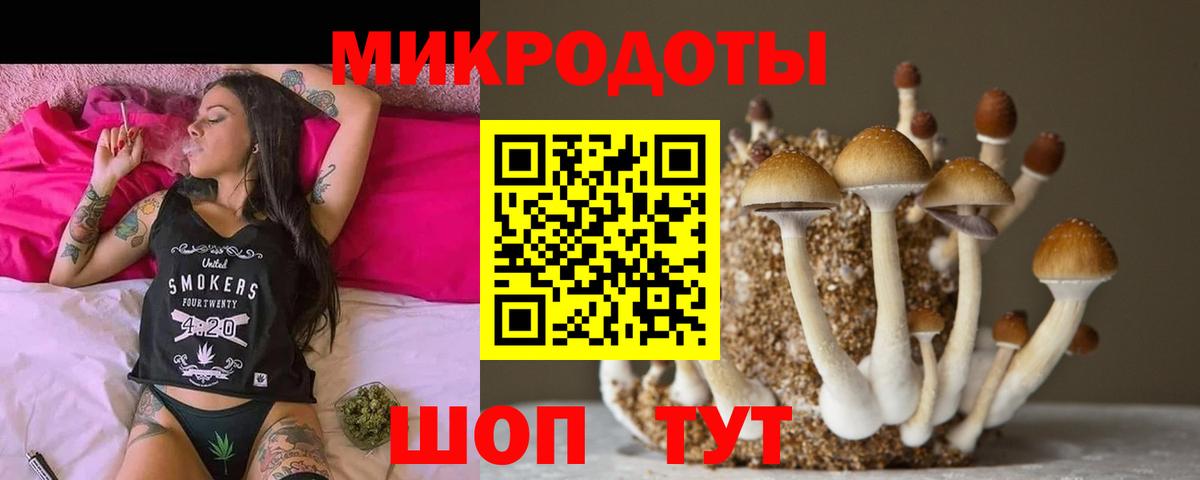 Псилоцибиновые грибы мухоморы Липецк