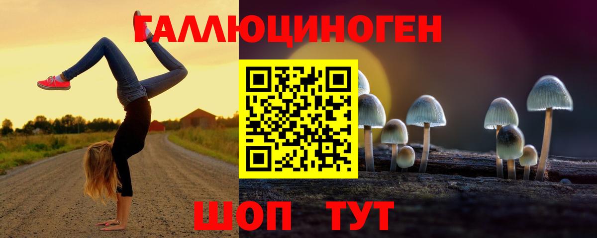 Липецк  купить  цена  Вход с VPN  Псилоцибиновые грибы Cubensis 